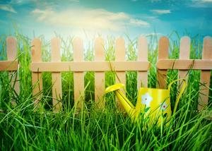 Wooden picket fence in tall green grass with a yellow watering can